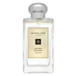 Jo Malone Oraniite kolon 100 ml (unisex)