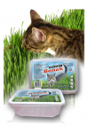 CERTECH Pet Grass Seed Cat 150g
