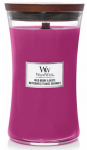 Woodwick Metsamarjad AND Peedlhnaga Knal 610 g