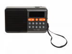 BLOW Kandev analoog AM/FM Bluetooth RA18