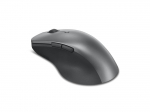 Lenovo PROF BLUETOOTH MOUSE
