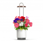 Click And Grow Click AND Grow x HydroVase - Valge
