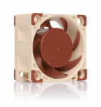 Noctua NF-A4x20 FLX arvutikorpuse ventilaator 4 cm, beige, pruun