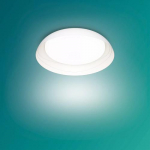 Philips Ceiling Light 10 W