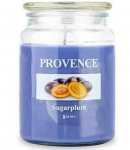 PROVENCE Candle sugarplum 14x10x10cm