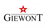 Giewont RealSound PRO ANC ENC GWS800-1 juhttud kladakid / mustad
