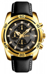 Skmei Meeste kell 9156GDBK / must