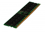 Hewlett Packard Enterprise Memory Module 64 Gb 1 X 64 Gb Ddr5 4800 Mhz **Shipping New