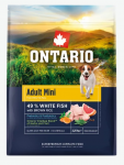 Koeratoit Ontario Tiskasvanud Mini, Kala ja Pruun Riis, 2,25 kg