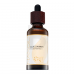Nanoil Kollageenipuudetav Prahn 50 ml