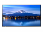 Sharp/NEC P556, 55"" P-Series LFD, UHD 4K (3840x2160), Brightness