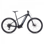 Giant Elektriratas Fathom E+ 2, 29" Gunmetal Black (L)