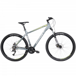 Bicycle ROMET Rambler R9.1, 29" gray-green (XL)