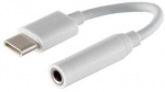 AmberIn Adapter USB-C - 3.5 mm White