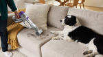 Shark PowerDetect Cordless Pet Vacuum Cleaner, Gray/Purple, IP1251EUT