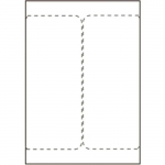 Capture Ship-label 105 x 220mm. For laser/inkjet printers. Two