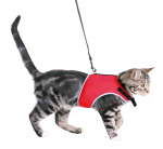 Chest harness vest with lead for cats : Trixie Soft harness with lead for cats, 24-42 cm, 1.20 m