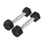 Tunturi Hantlid Platinum Hex Rubber Dumbbell, 2x 1 kg