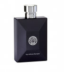 Versace pour Homme Duschigeel SWG 250 ml