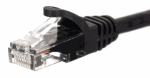 Netrack Patchcord U/UTP Cat.6 0.5m black