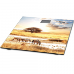 MUHLER Vannitoa kaal MSC-3077