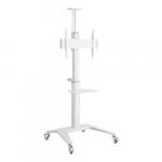 Techly 362176 LED/LCD/Diispuul, 37-70", 70kg, AV-klass, valge
