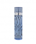 Paris Hilton meestele Parfm EDT 100 ml