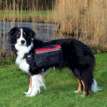 Accessories for dogs : Trixie Backpack for dogs, L