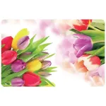 ASI COLLECTION Alusplaat 43,5x28cm tulipaat