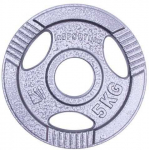 Insportline Olympic Cast Iron Plate Hamerton 5 kg
