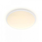 Philips by Signify Philips Functional 8719514326866 laelamp. Mittevahetatavad LED-pirnid