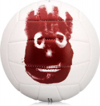 Wilson Volleyball Mr Cast Away Mini (WTH4115XDEF )