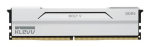 KLEVV Bolt V mlu moodul 32 GB 2 x 16 GB DDR5 6000 MT/s 288-pin DIMM