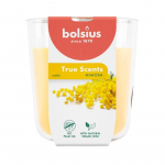 bolsius True Scents Lhnaga Knal 97x85mm Mimosa