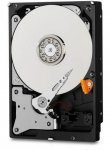 Noname WD Purple 1TB 24x7 64MB