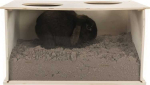 Trixie ldine chinchilla knsakava liivbassiin
