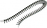 DeWALT Dewalt Metal Tape Screws 3.5 x 55mm 1000pcs. (DWF4000550)