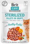 Brit Care Kastmes fileed steriliseeritud tervisliknt klik 85g
