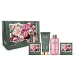 Grace Cole Rose AND Peony Body Set ( Re AND Pivoka ) - Kingituslaatik kehorawatuse jaoks ( 4 tk )