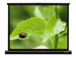 Grandview U-Work 4:3 Screen w/81x61cm View area,