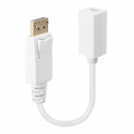 Lindy Displayport: Dp(M) /Mini-Dp(F)