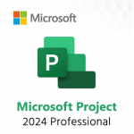 MICROSOFT Projektiprofessionaal 2024 kik keeled online tooteleht 1 litsentsi Downloadable ESD NR |