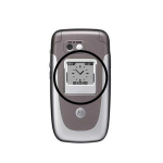 Motorola V360 hbevrviline kaitsekaasus, vliskaas ja nitluslaastik