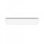 Philips Functional Panel Ceiling Ceiling Light 36 W Rectangular