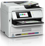 Epson WorkForce Pro WF-C5890DWF BAM Ink-Bundle