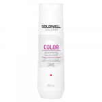 Goldwell Dualsenses Color Brilliance Shampoo shampoo for colored hair 250 ml