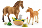 Schleich Hobuste Klubi Sarahi loomatasuvtukeskuse beebikomplekt (42432)