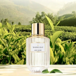 Estee Lauder Este Lauder Tender Light EDP 100 ml