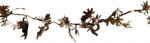 Fric Lights and Christmas 14071955 25 LED 2.4m