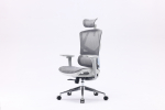 Sihoo M90C ergonoomiline kontoritool, hall